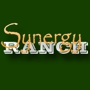Synergy Ranch