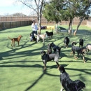 Bark Hotel - Pet Boarding & Kennels