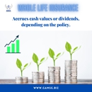 Genesis Asset Management Strategies Group - Insurance