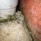 Gallery Image Number 4
