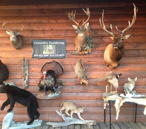 Conrath's Taxidermy - Everett, PA