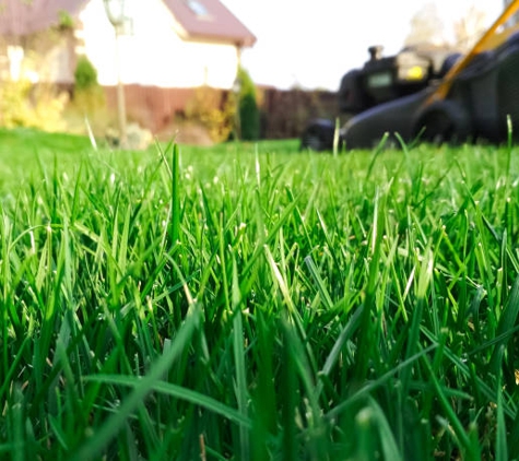 Rivers Edge Turf Pty Ltd - Wilberforce, NSW
