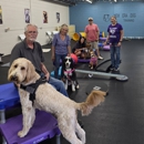 New Era Dog Training - Dog Training