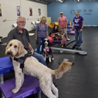 New Era Dog Training