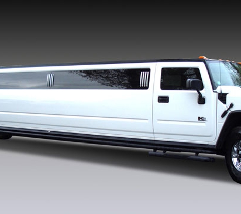 Sunny luxury Transportation - Orlando, FL