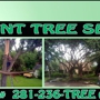 TNT Tree Service