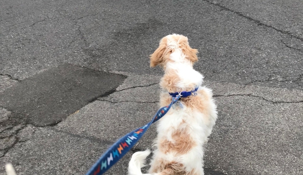 Amherst Boarding Kennel - East Amherst, NY