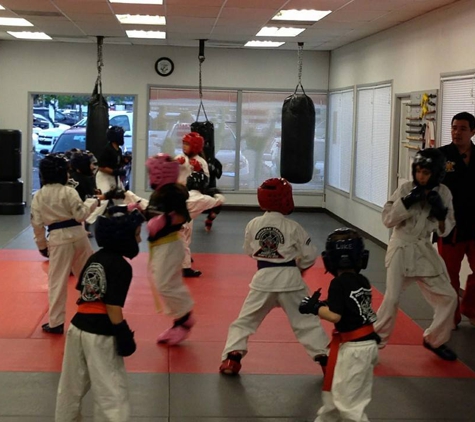 American Kenpo Jiu Jitsu Academy - Woodland Hills, CA - Woodland Hills, CA