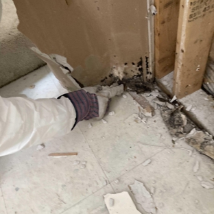 Professional Cleaning Restoration and Rehab Group - Baltimore, MD. Mold Remediation