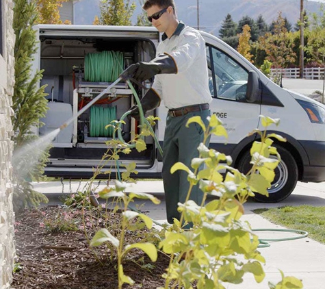 Edge Pest Control and Mosquito Services - Colorado Springs, CO