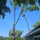 Timber Bros Tree Service - Arborists