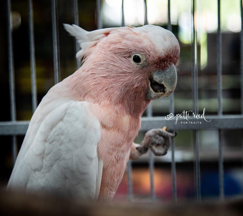 Animal House Pet Center - Saint Petersburg, FL