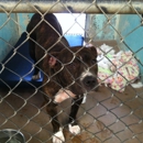 Butte Humane Society - Animal Shelters