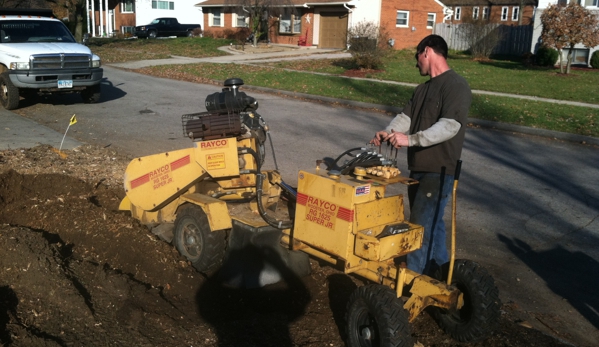 Steve's Tree Service, Landscape, Hauling, & Excavating - Toledo, OH