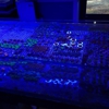 The Reef Shack gallery