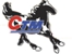 Chituma Electric Bicycles Logo