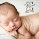 Amanda Barrett Photography LLC - Portrait Photographers