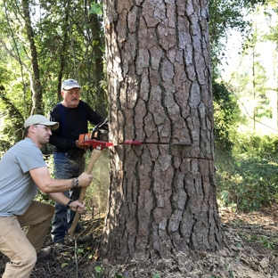 Palmetto Tree Service & Stump Grinding - Columbia, SC