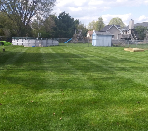 SereneTurf - Ann Arbor, MI