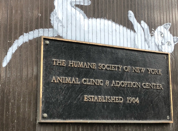 Humane Society of NY - New York, NY