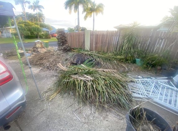 Bull's Tree Service - Whitfield, QLD