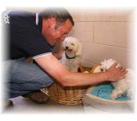 Petherton Park Kennels - Macdonald Park, SA
