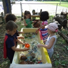 Discovery Montessori School