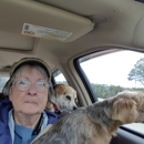 Furry friends grooming - Pet Grooming