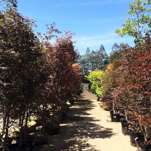 Central Wholesale Nursery - San Jose, CA