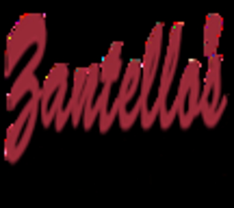Zantello's Interior Care LLC - Gobles, MI