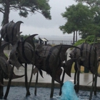 North Carolina Aquarium