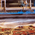 Tanin  Carpet Cleaning, Water Damage & Mold Remediation