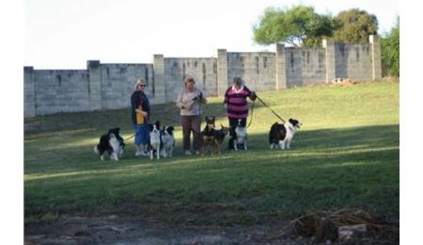 Limestone Coast Tourist Park - Glenburnie, SA