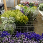 Washington Wholesale Florist Supply