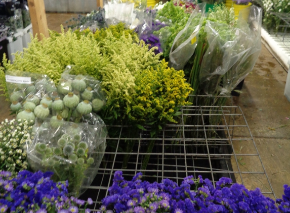 Washington Wholesale Florist Supply - Dunlevy, PA