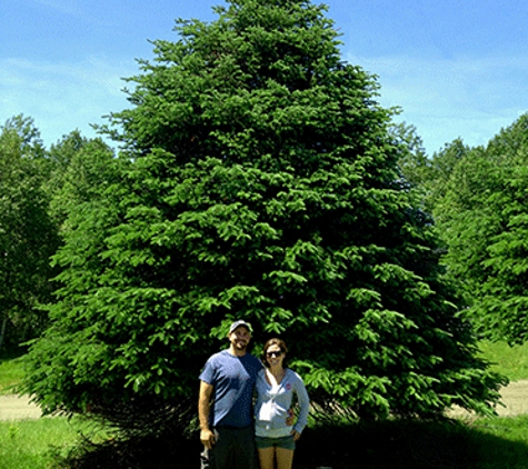 Uncle Steve’s Christmas Trees - Hooksett, NH