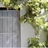 G&S Garage Door Service gallery