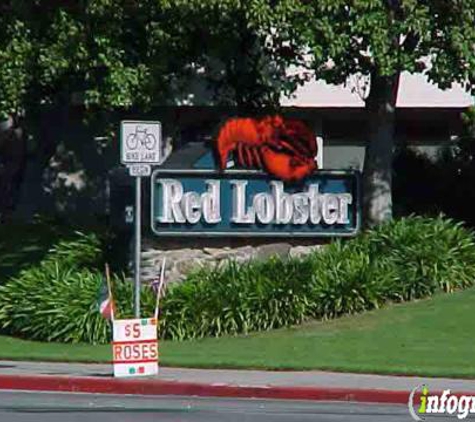 Red Lobster - San Jose, CA