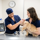 Hospital for Veterinary Surgery - Connecticut - Veterinary Specialty Services