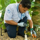 Sandwich Isle Pest Solutions - Pest Control Services