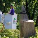 Flores Tree Service & Landscaping Inc. - Tree Service