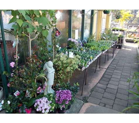 Shalimar Nursery - Colac, VIC