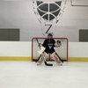 Z Tending Goalie School gallery