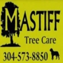 Mastiff Lawn & Tree Care - Stump Removal & Grinding