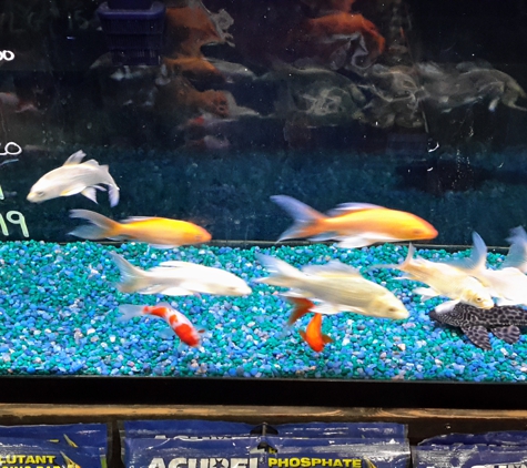 Sea Salt Petstore & More - Owens Cross Roads, AL