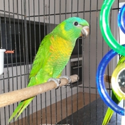 Gallery Image Number 6