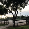 Miami International Riding Club gallery