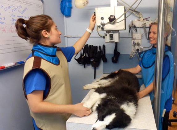 Westlakes Veterinary Hospital - Fennell Bay, NSW