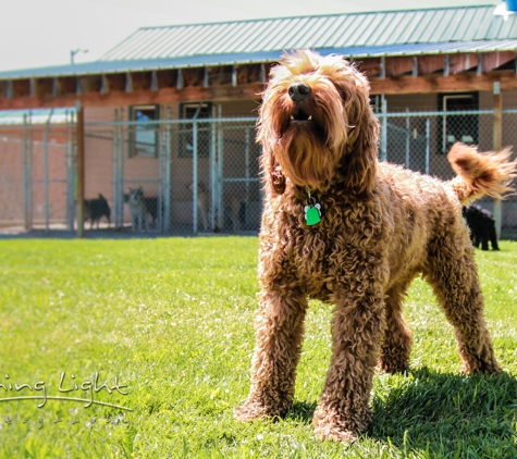 A Pet Boarding Retreat - Kalispell, MT