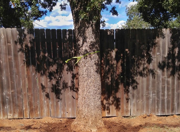 Superior Services Tree Care - Fredericksburg, TX